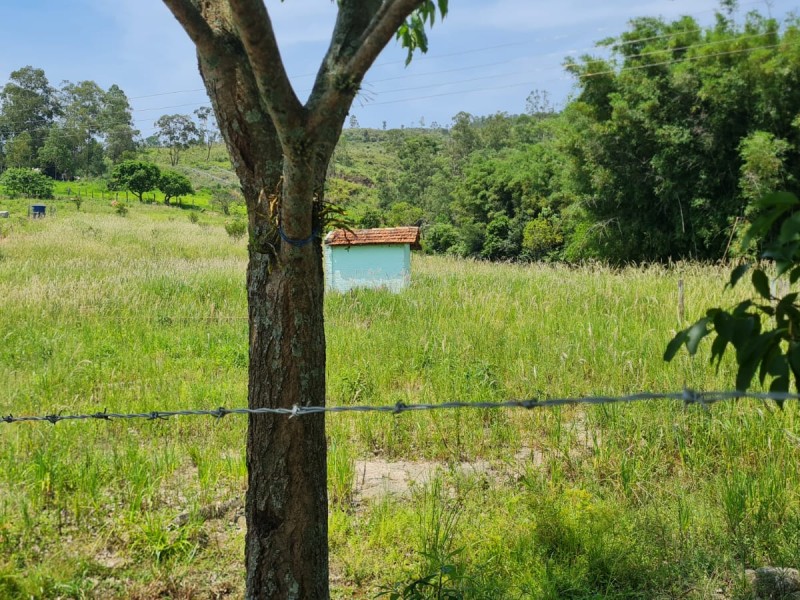 VENDA PAUSADA