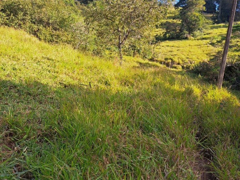 FAZENDA COLONIAL