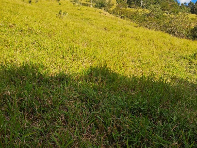 FAZENDA COLONIAL