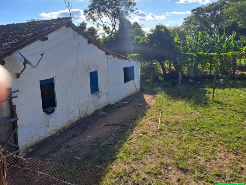 FAZENDA COLONIAL