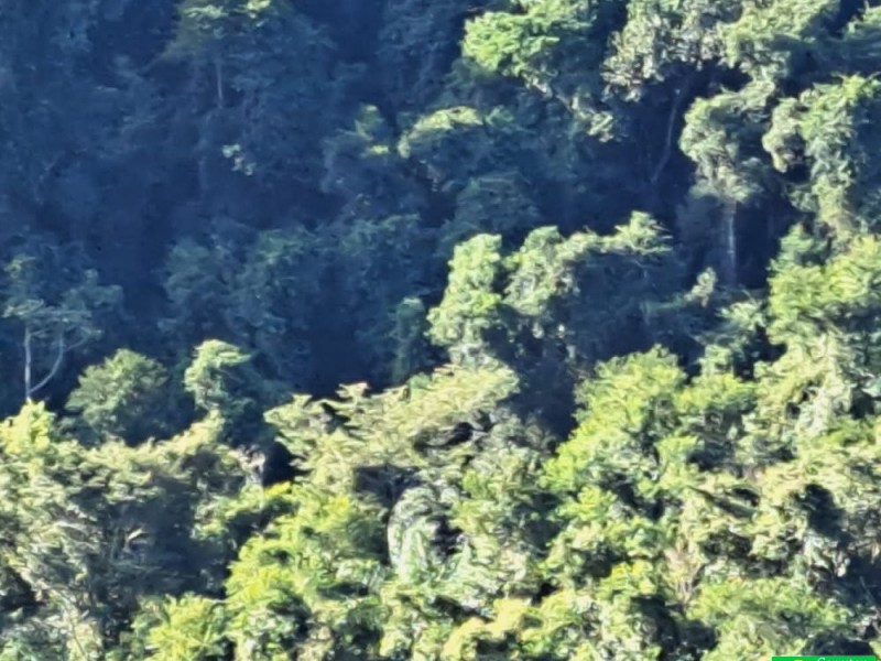 FAZENDA COLONIAL