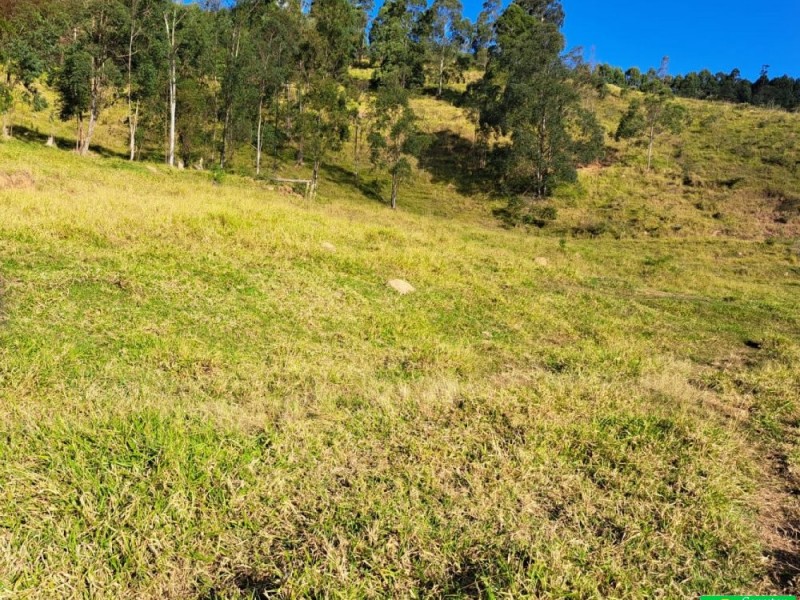 FAZENDA COLONIAL