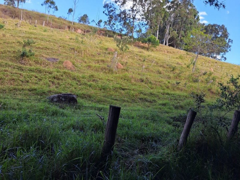 FAZENDA COLONIAL