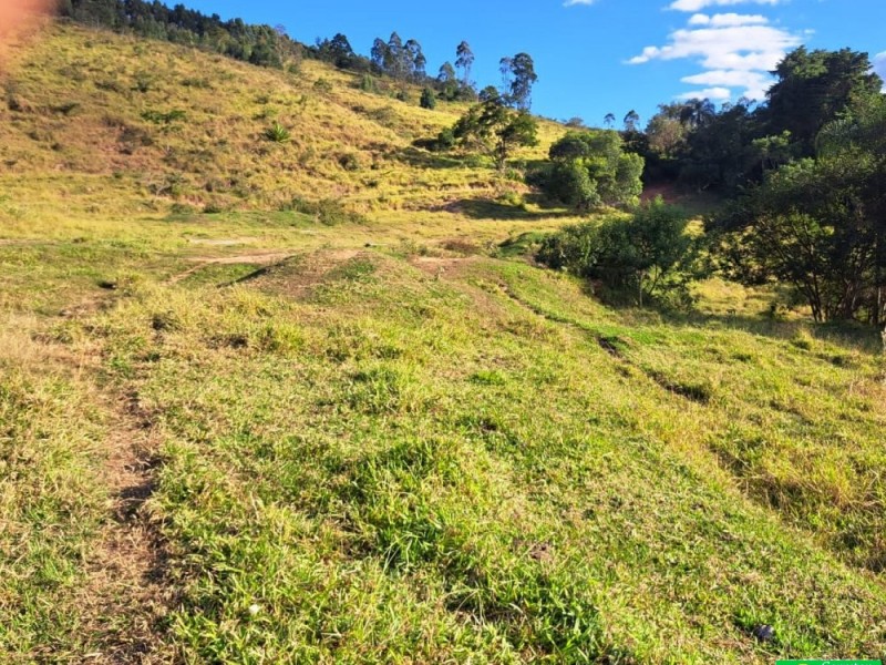 FAZENDA COLONIAL