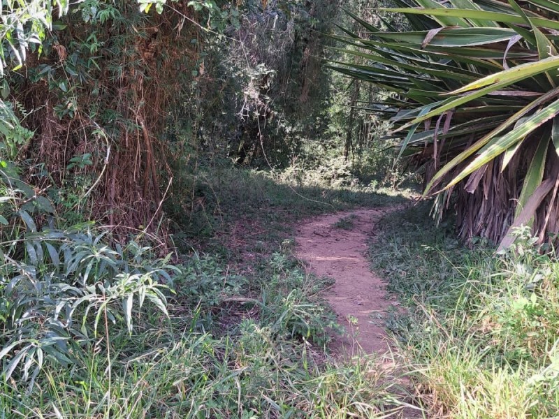 FAZENDA COLONIAL