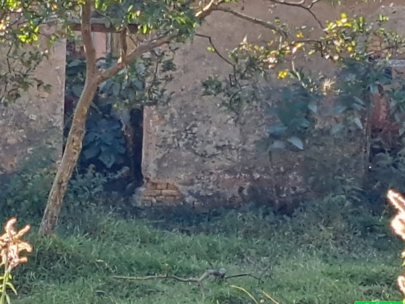 FAZENDA COLONIAL