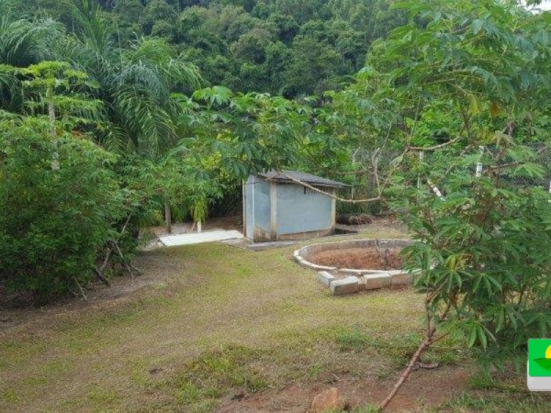 VENDIDO VENDIDO
