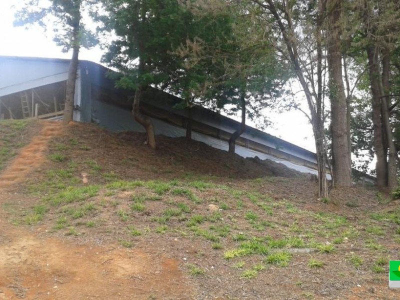 SITIO + GRANJA 