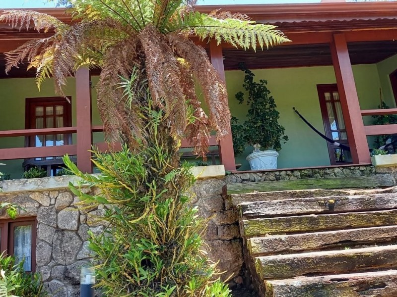 ALUGADO E PAUSADA VENDA
