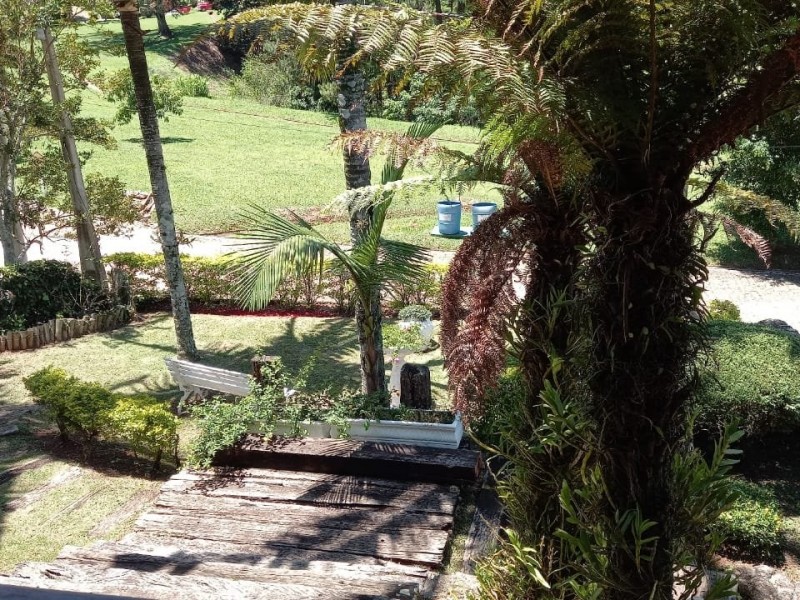 ALUGADO E PAUSADA VENDA