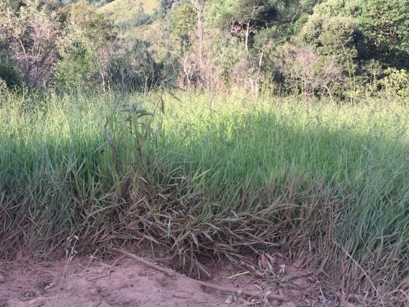 SITIO Á 1KM ASFALTO