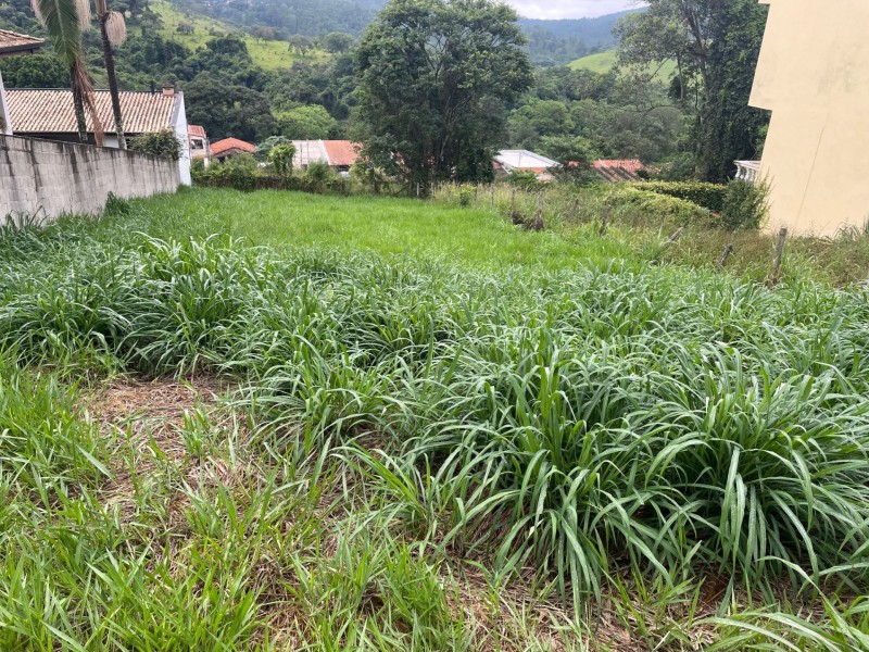 TERRENO ÁREA NOBRE