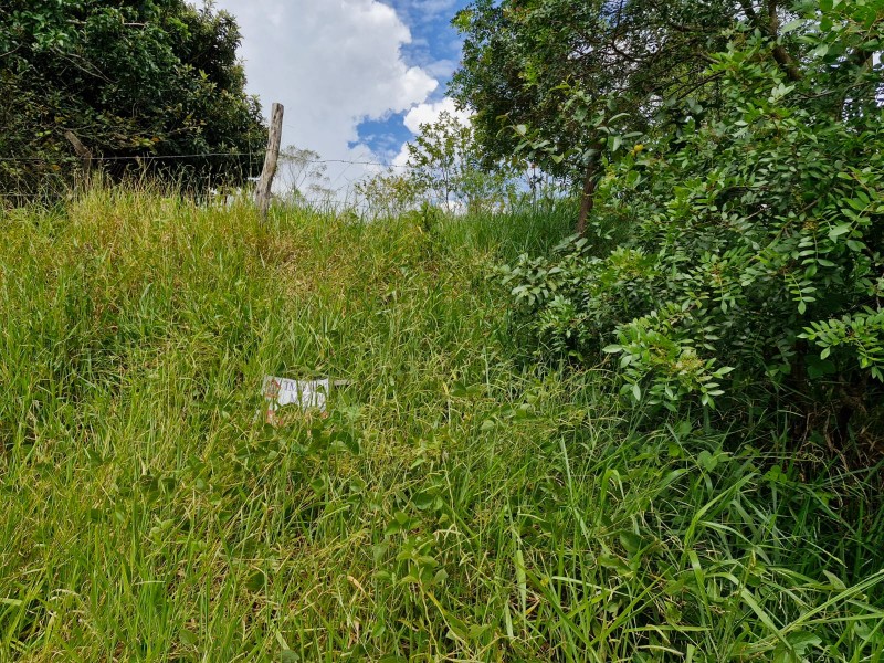 TERRENO 1000 m² ABAIXO DO VALOR DE MERCADO