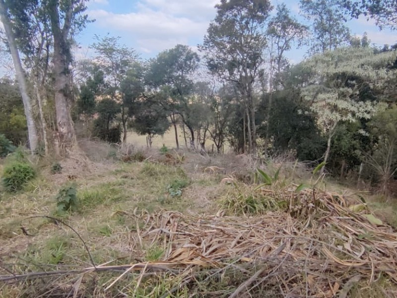 TERRENO P/ CHÁCARA PLANO 