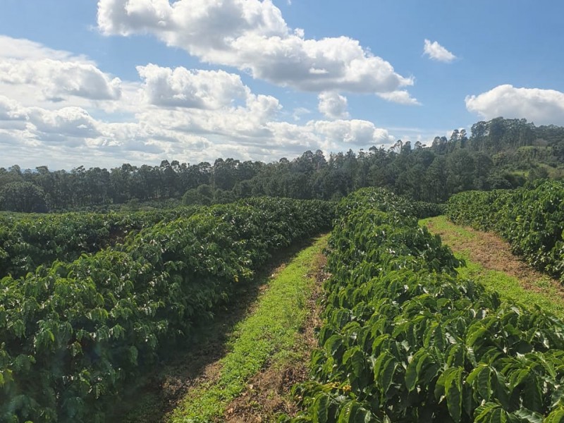 LINDA FAZENDA LOCALIZAÇÃO PRIVILEGIADA