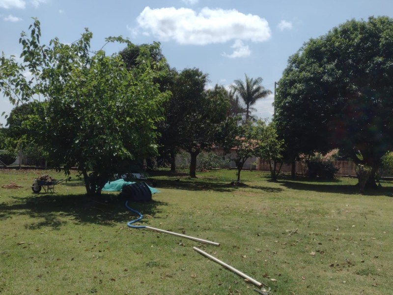 TERRENO GRAMADO PLANO + POMAR 